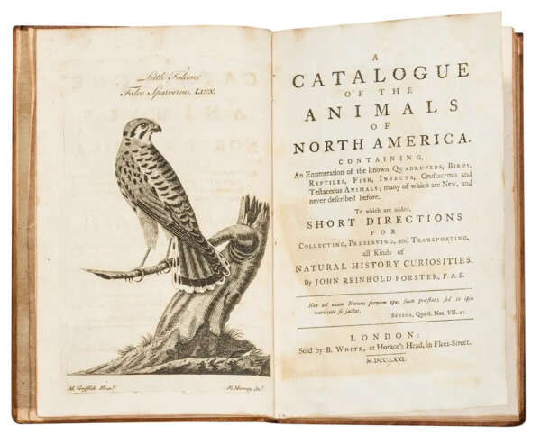 A Catalogue of the Animals of North America.